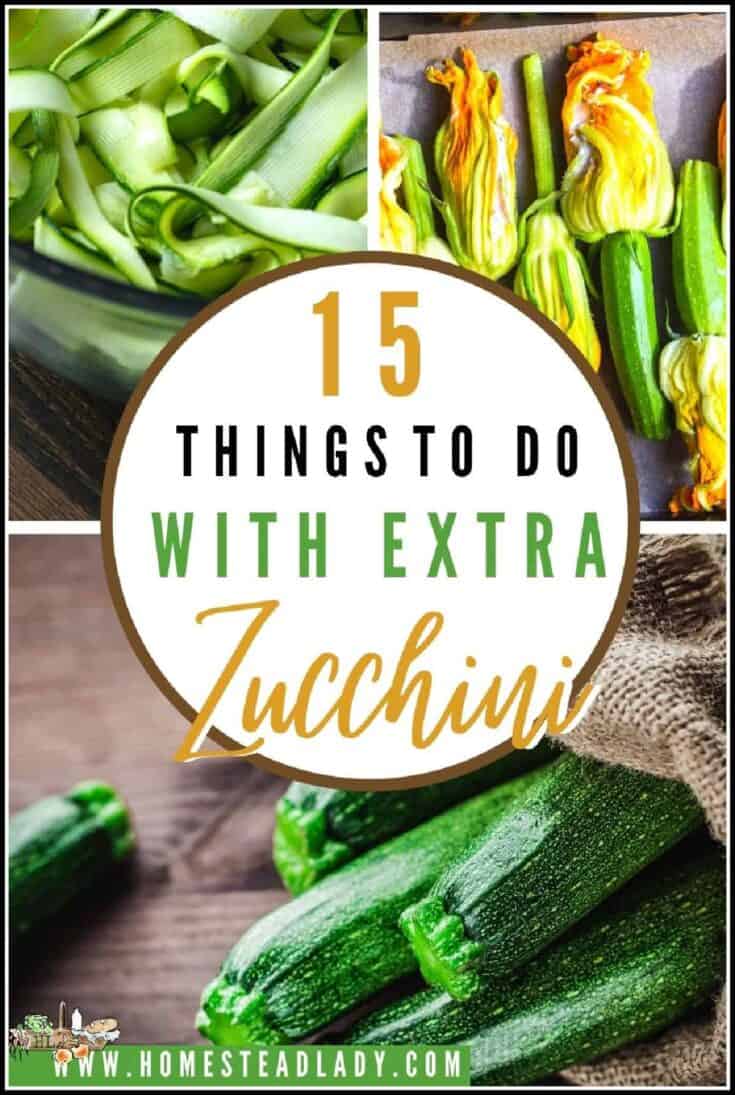 15 Things to Do with Extra Zucchini • Homestead Lady