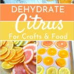 How to Dehydrate Citrus for Crafts and Food