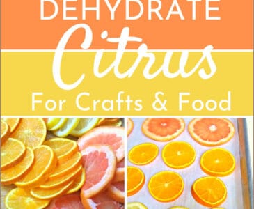 sliced citrus variety in piles and on a pan