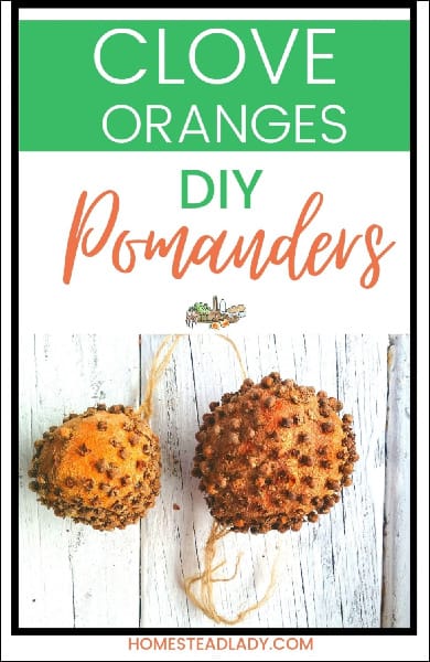 clove orange pomanders
