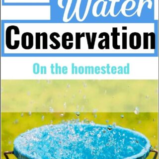 Natural Solutions for Homestead Problems • Homestead Lady
