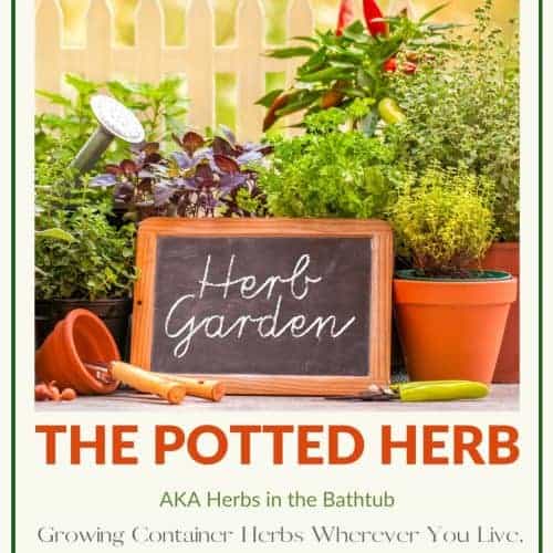 How to plan a medicinal herb garden - Homestead Lady