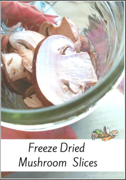 freeze dried preserved mushrooms in a glass jar