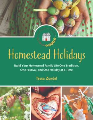 Homestead Holidays Book Cover