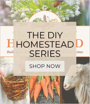 The Do It Yourself Homestead Series