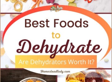 dehydrated foods mixed
