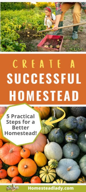 How to Make a Successful Homestead • Homestead Lady