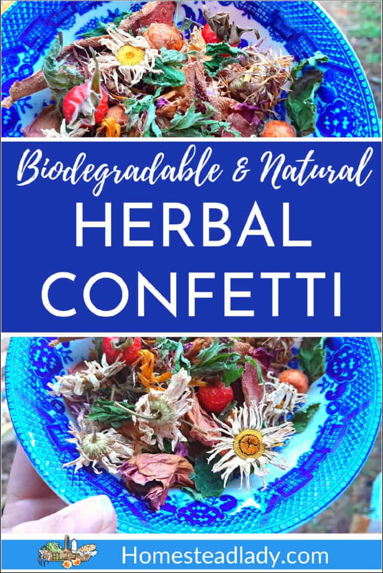 Make Homemade Biodegradable Confetti • Homestead Lady
