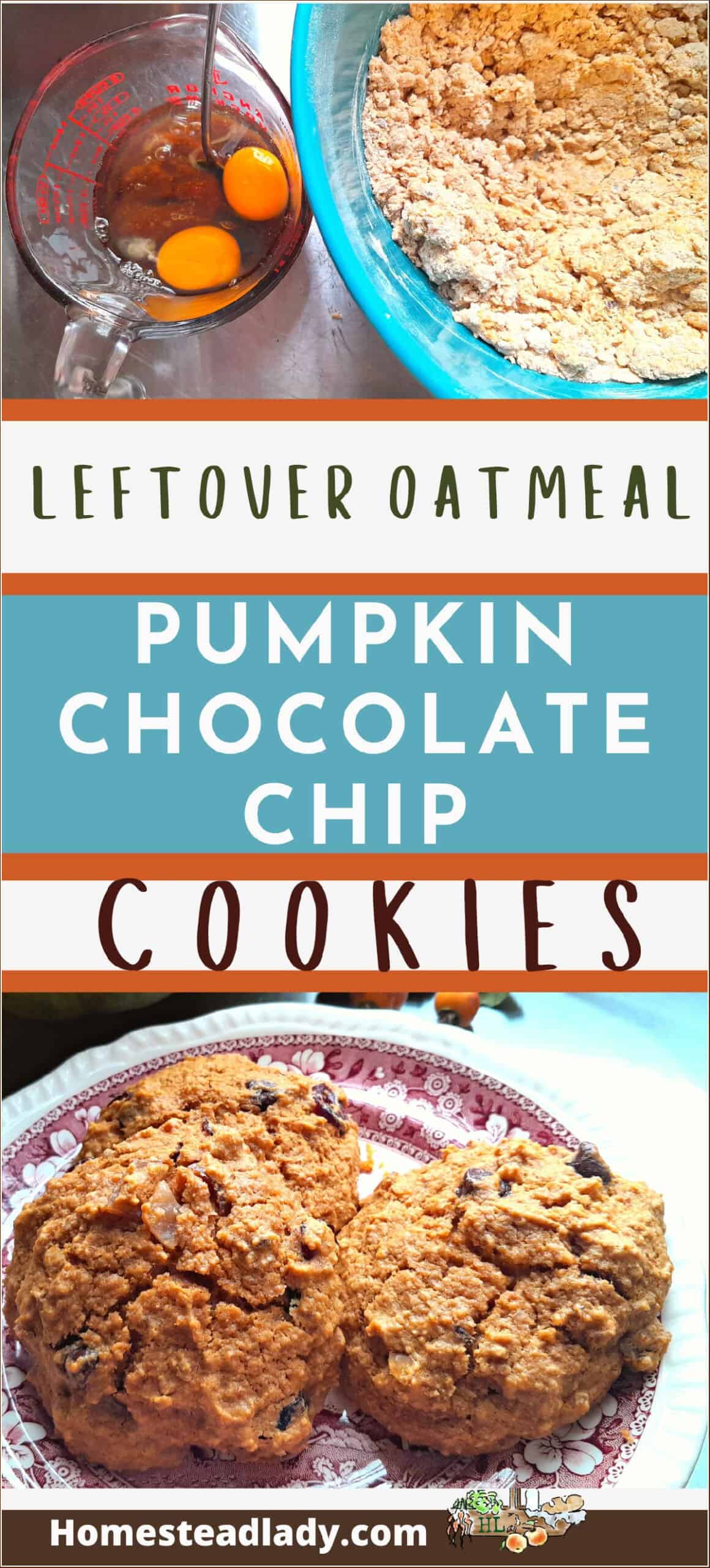 pumpkin chocolate chip oatmeal cookies