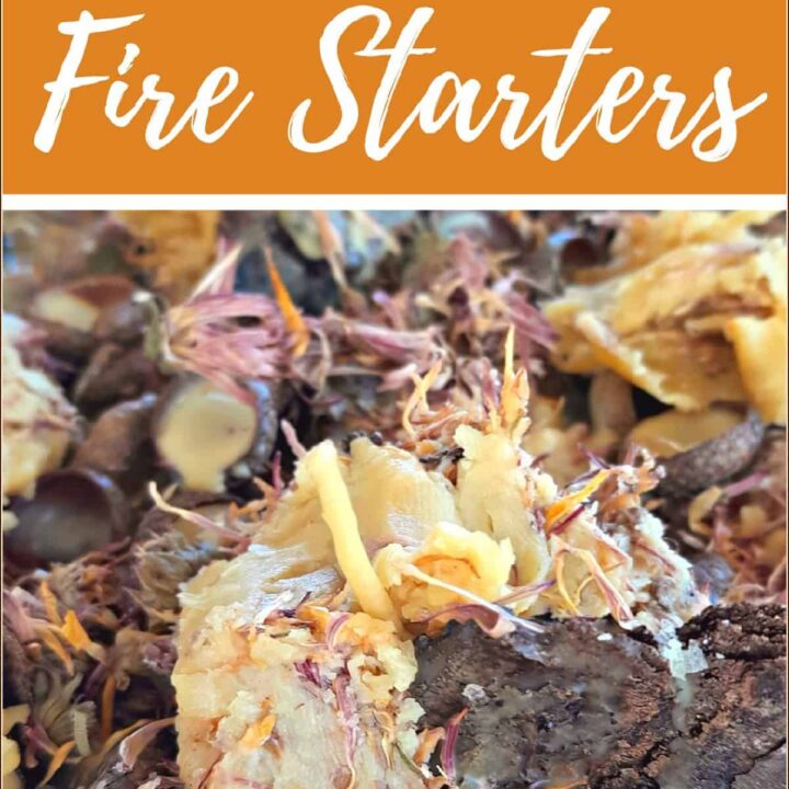 Make Natural Beeswax Fire Starters • Homestead Lady
