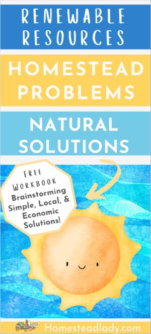Renewable Resources: Solutions for Homestead Problems (5th Permaculture ...
