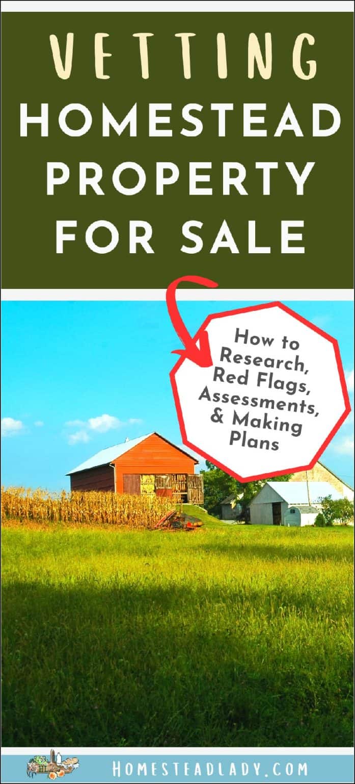 Vetting Homestead Property for Sale • Homestead Lady