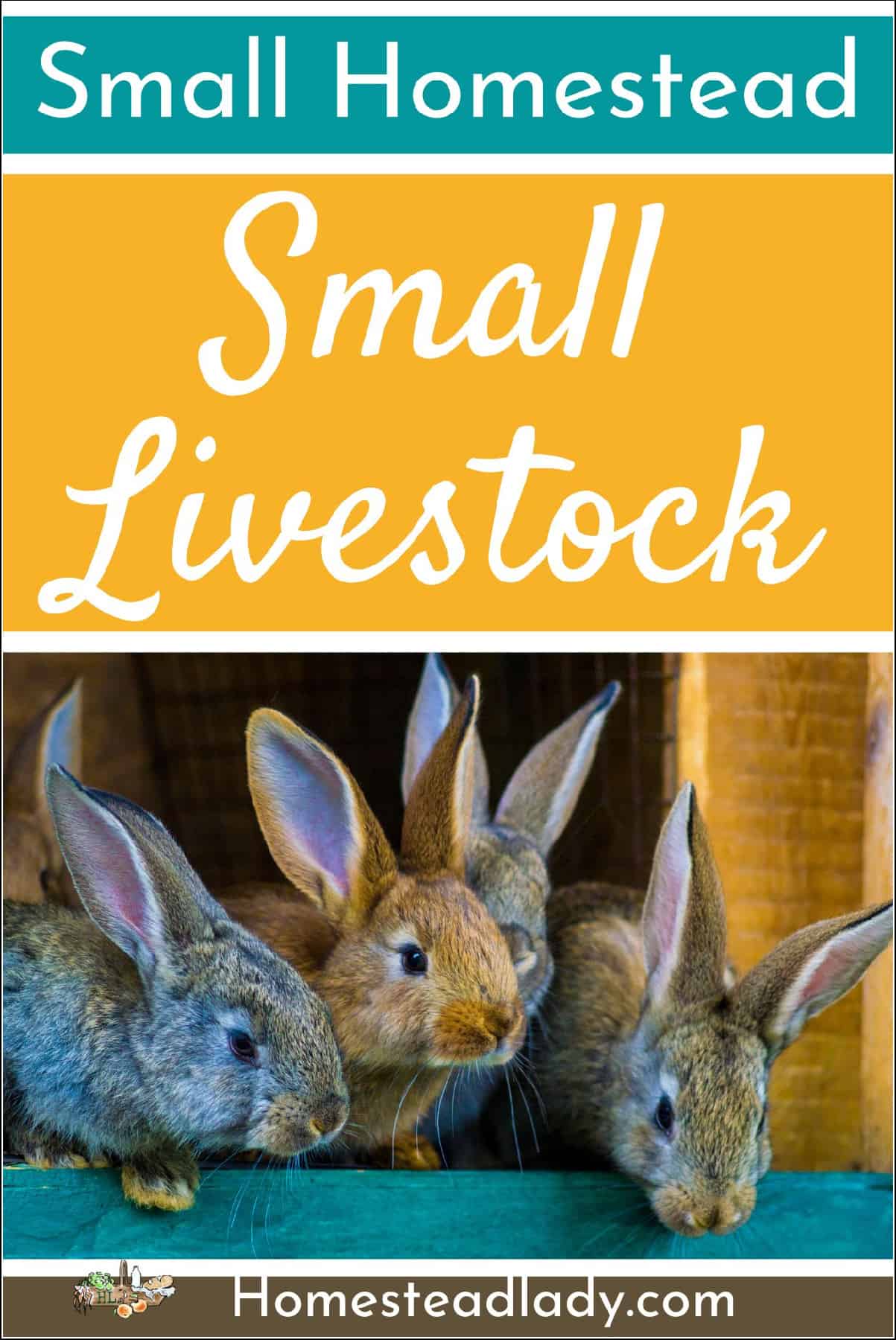 small livestock rabbits in a cage
