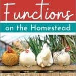 Stacking Functions on the Homestead