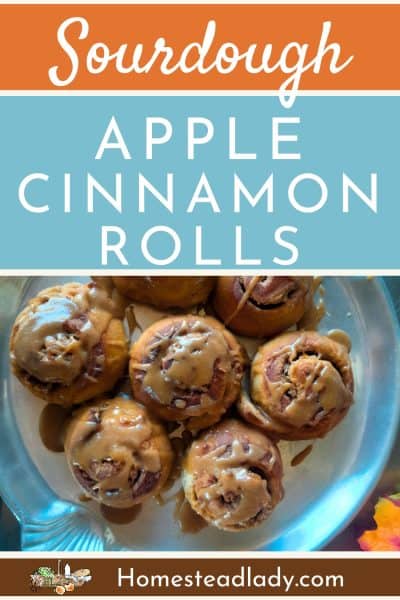 Sourdough Apple Cinnamon Rolls • Homestead Lady 