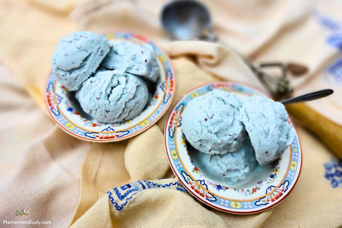 blue mint ice cream in two dishes