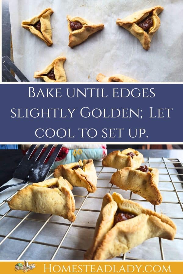 Gluten Free Hamantaschen Recipe • Homestead Lady