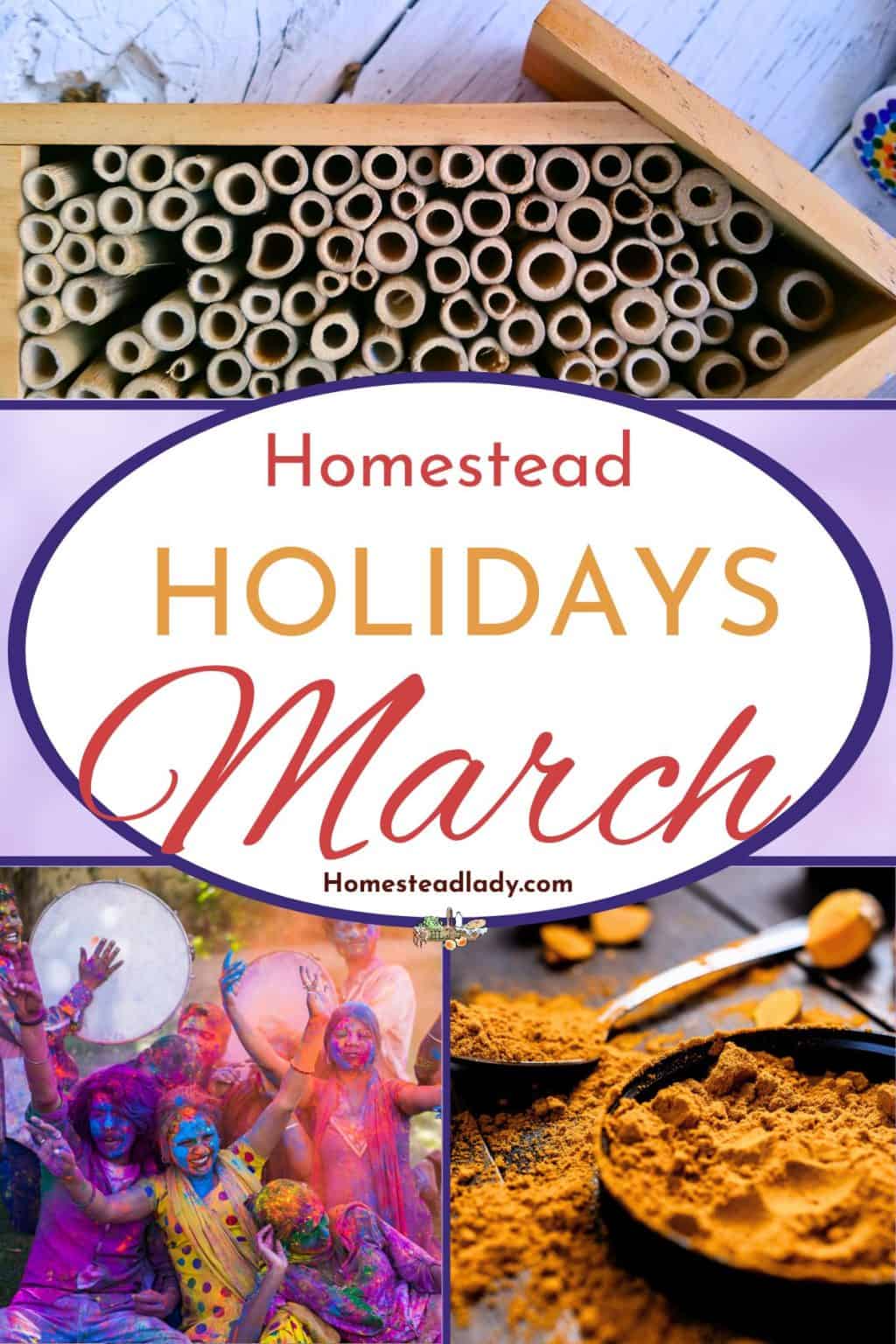 Homestead Holidays in March • Homestead Lady