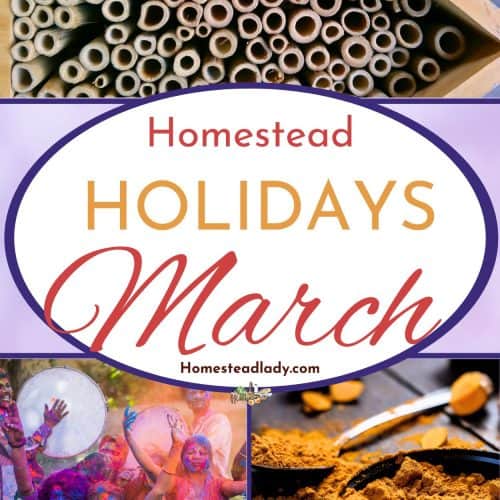Homestead Holidays in February • Homestead Lady